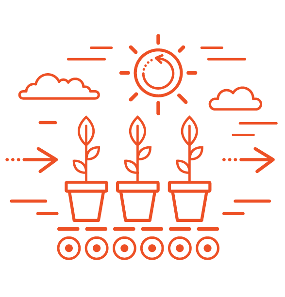 Line drawing illustration portrays a conveyor belt with plants on it. Arrows are pointing on both the left and ride side pointing towards the right. There is also a sun in the sky.