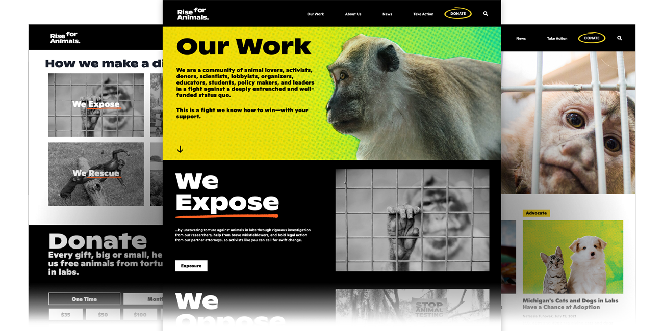 Collage of desktop scaled website layouts from the Rise for Animals website