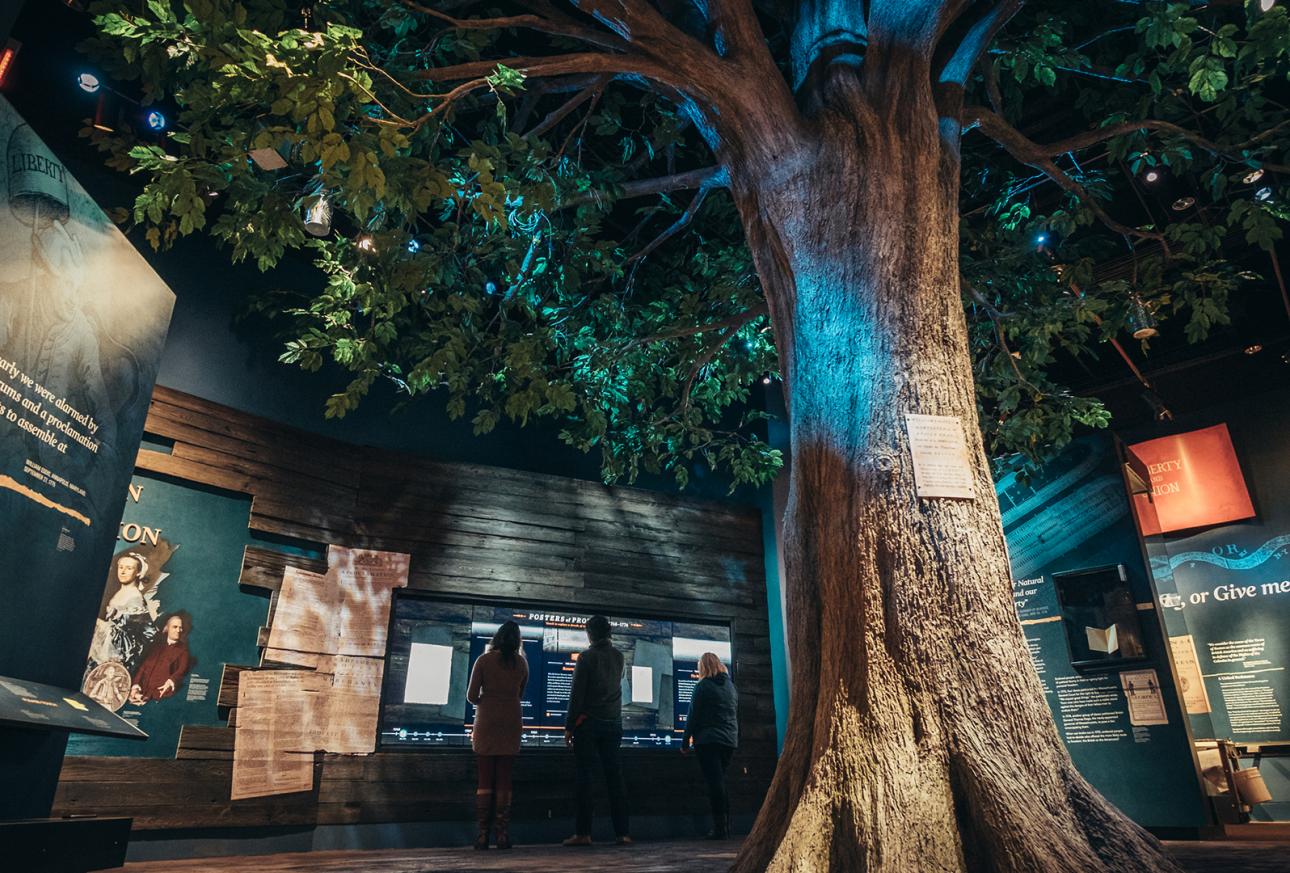 A large tree, posters, and artifacts in the Museum of the American Revolution Gallery