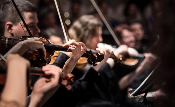 Members of an orchestra playing violins. 